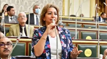 مقترح تشريعي جديد.. البرلمان يبحث تعديل قانون الإيجار القديم لحماية حقوق الملاك والمستأجرين